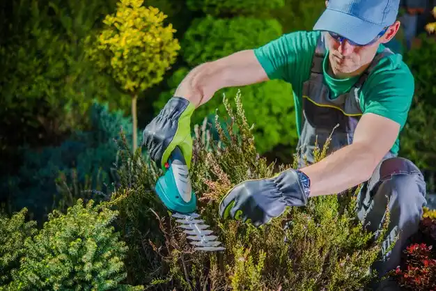 landscaping services Hornell